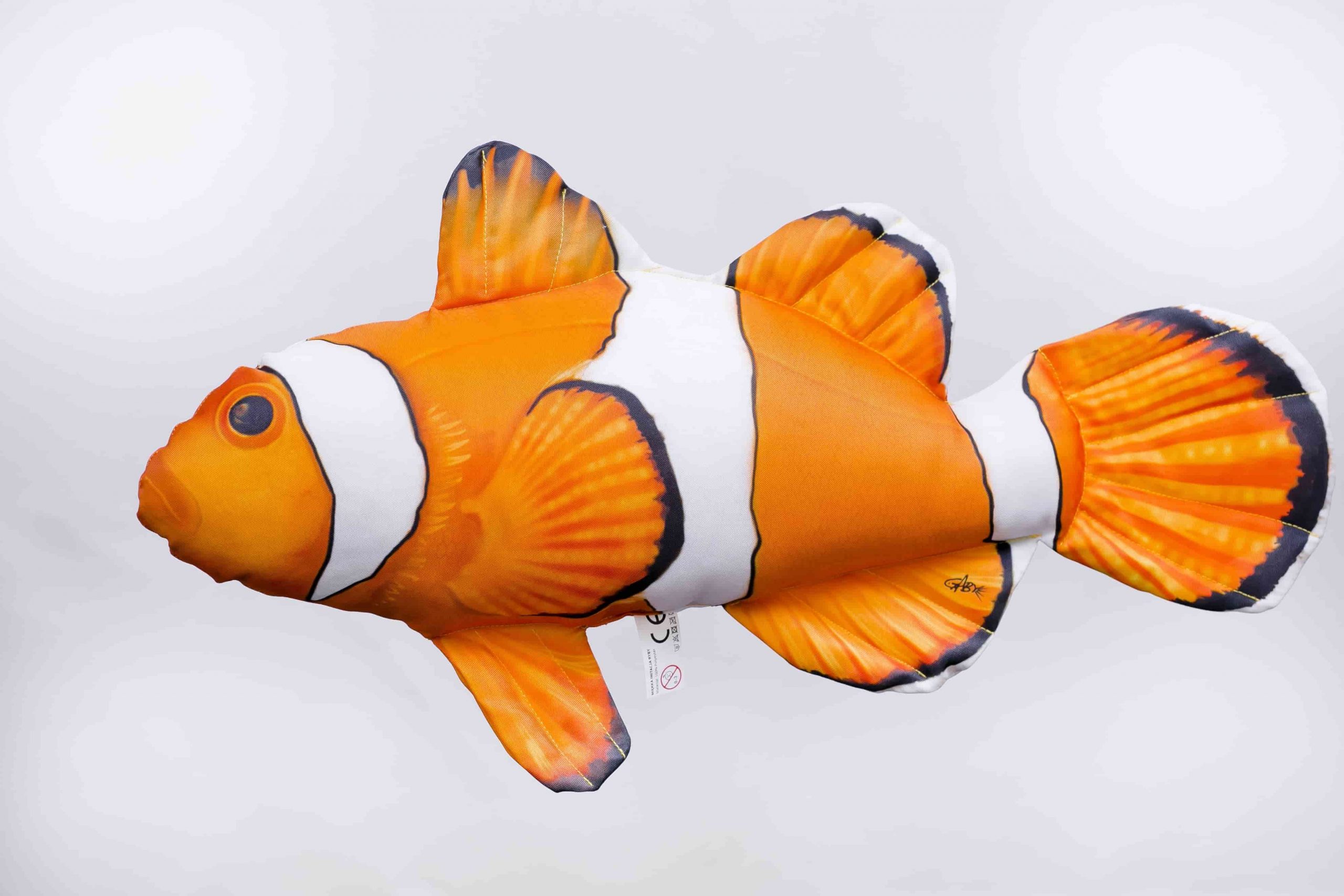 Anemoonvis Clownfish Nemo klein - Betaalbaar Duiken